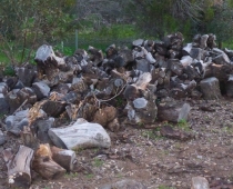 adelaide-barossa-mobile-log-splitting-services-for-firewood-02