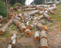 adelaide-hills-mobile-log-splitting-services