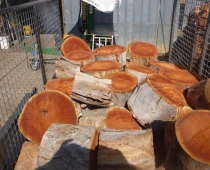 adelaide-mobile-log-splitting-services-04