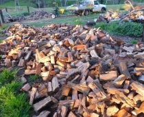 adelaide-mobile-log-splitting-services-for-firewood-03