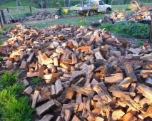 adelaide-mobile-log-splitting-services-for-firewood-03