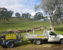 mobile-log-splitting-firewood-adelaide-barossa-06