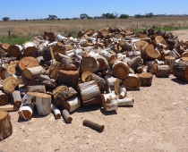 mobile-log-splitting-firewood-adelaide-barossa-07