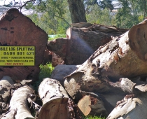 mobile-log-splitting-firewood-adelaide-barossa-12