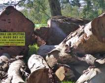 mobile-log-splitting-firewood-adelaide-barossa-12