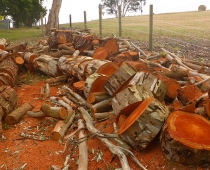 mobile-log-splitting-firewood-adelaide-barossa-14