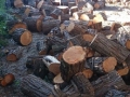 adelaide-mobile-log-splitting-services-03