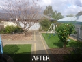 mobile-log-splitting-adelaide-to-barossa-yard-clean-up-after