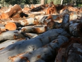 mobile-log-splitting-firewood-adelaide-barossa-11