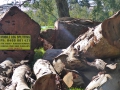 mobile-log-splitting-firewood-adelaide-barossa-12