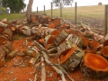 mobile-log-splitting-firewood-adelaide-barossa-14